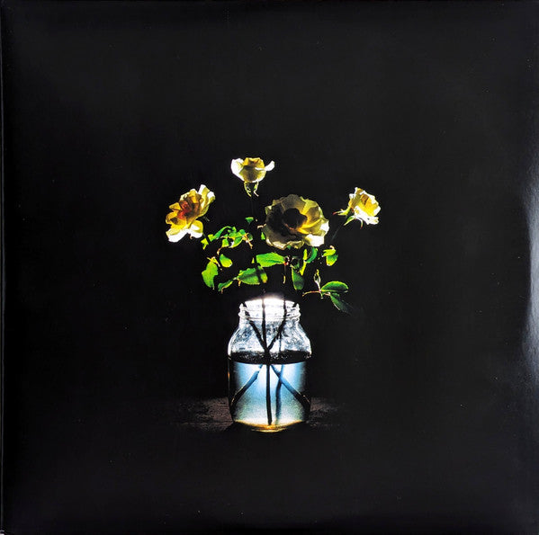 Billy Strings : Renewal (2xLP, Album)