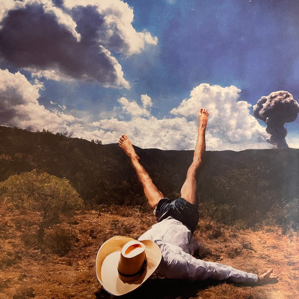 Geese (11) : 3D Country (LP, Album)