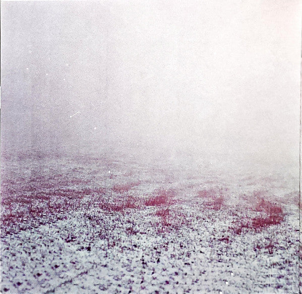 Slowdive : Slowdive (LP, Album, RE)