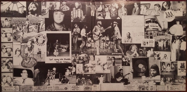 The Beach Boys : 15 Big Ones (LP, Album)