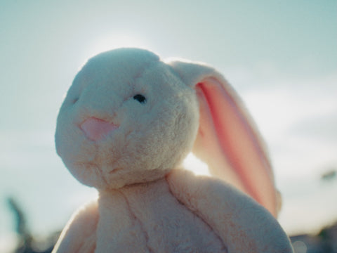 "COVER ME" by Clarion